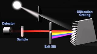 How does a spectrophotometer work [upl. by Sirrap]