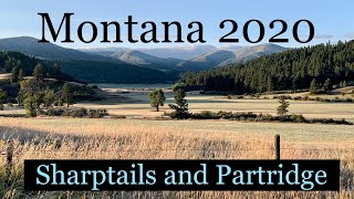 Montana 2020 Sharpies amp Huns part 1 [upl. by Yand459]