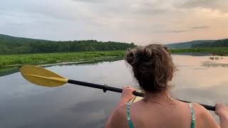 Kayaking Bashakill Wildlife Management Area  Wurtsboro NY [upl. by Vyner147]