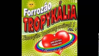 Forrozão Tropykália  Você Fugiu de Mim [upl. by Anna]