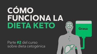 Cómo funciona la dieta keto [upl. by Heman870]