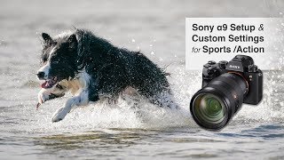 Sony A9 Setup and Custom Settings for Sports and Action [upl. by Ireva607]