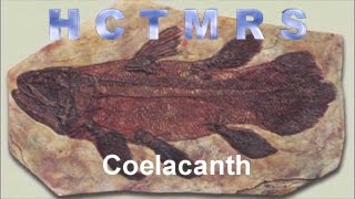 How Creationism Taught Me Real Science 49 Coelacanth [upl. by Mayce]