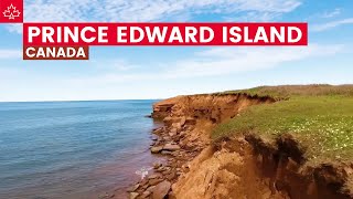 Canada Road Trip Best Things To Do In Prince Edward Island [upl. by Casteel780]