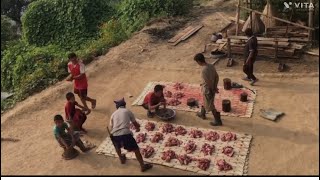 PIG CUTTING  NEPALI VILLAGE LIFE  DORPA KHOTANG [upl. by Farly749]