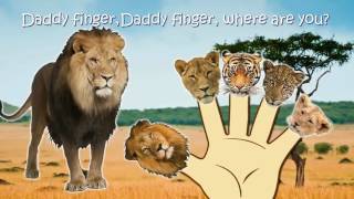 Animals 30 min Collections Finger Family  Nursery Rhymes [upl. by Aniroc]