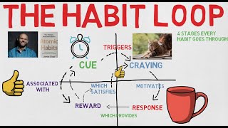 4 stages of The Habit Loop [upl. by Fabri]