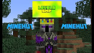 Levels SMP Plugin Tutorial MINEHUT [upl. by Rajewski]