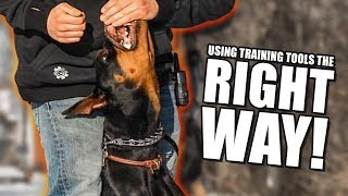 How to use E collar and prong collars properly  Dog training with Americas Canine Educator [upl. by Acinomaj]