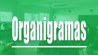 Tipos de organigramas [upl. by Yelats]