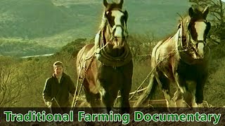 Traditional Farming Documentary  Farm life in Ireland during the 1930s  quotPreserving the Pastquot [upl. by Omoj795]