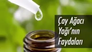 Çay Ağacı Yağının Faydaları  Çay Ağacı Nasıl Kullanılır  DOĞAL YAĞLAR [upl. by Phi]