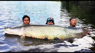 Arapaima of a Life Time Going Beast Mode [upl. by Nottus498]