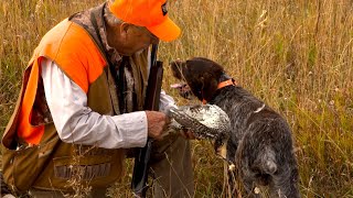 Sharptail Grouse Hunting [upl. by Athelstan392]