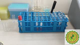 Glucose Measurment using Spectrophotometer [upl. by Lysander282]