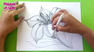 Dibujos A Lápiz Como Dibujar Una Flor  How To Draw A Flower [upl. by Moth]