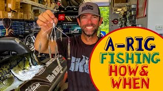 Alabama Rig Bass Fishing  When amp How to Fish an ARig [upl. by Savell72]