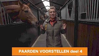 PAARDEN VOORSTELLEN deel 4  PaardenpraatTV [upl. by Isidoro]