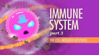 Immunology of the Lung [upl. by Dwight386]