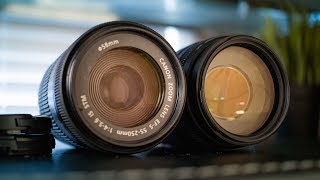 Canon EF 75300mm Lens vs EFS 55250mm STM Lens [upl. by Belayneh]