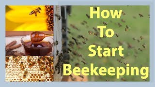 Beekeeping How To Start Beekeeping In 2025 [upl. by Recneps]