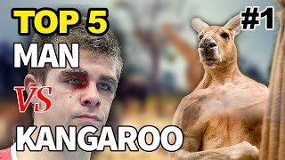 Kangaroo Fights Man  Kangaroo vs Human  Kangaroo Fight  Kangaru 😃 [upl. by Fayola]