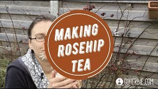 How to make rosehip tea  with fresh rosehips [upl. by Ennylyak]