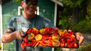 How To CATCH COOK AND CLEAN Rusty Crawfish Invasive Species [upl. by Alcock]