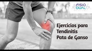 Ejercicios para TENDINITIS PATA DE GANSO [upl. by Aitat]