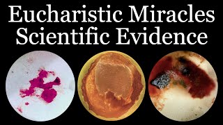 Scientific Evidence of Eucharistic Miracles  Inspired By Carlo Acutis [upl. by Brenna]