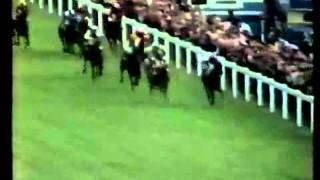 Grundy The 1975 Epsom Derby Epsom Downs [upl. by Suriaj127]