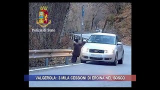 Valgerola tremila cessioni di eroina nel bosco [upl. by Ariahaj]