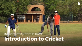 Introduction to Cricket  Cricket [upl. by Buatti]