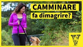 Camminare pregi e difetti sul dimagrimento [upl. by Aietal]