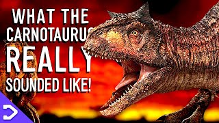 What Did The Carnotaurus REALLY Sound Like [upl. by Bilak]