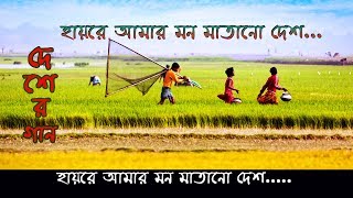 Hayre Amar Mon Matano Desh । হায়রে আমার মন মাতানো দেশ [upl. by Virgin]