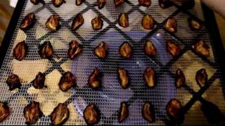 Dehydrating Italian Prune Plums [upl. by Kegan]