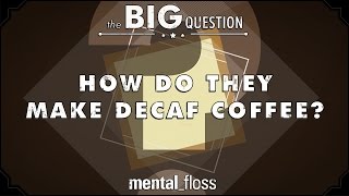 How Do They Make Decaf Coffee  Big Questions  Ep1 [upl. by Klenk]