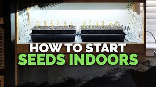 Seed Starting Indoors Under Grow Lights 101 [upl. by Adnomal]