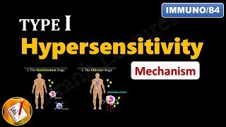 AntibodyDependent CellMediated Cytotoxicity Type II Hypersensitivity Reaction [upl. by Hgielrebma]