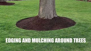 EDGING and MULCHING around TREES  How to get a CLEAN LOOK [upl. by Seppala486]