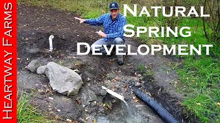 Developing a Natural Spring  OffGrid Water  Well  Prepping  WROL  Solar Pump  Heartway Farms [upl. by Mirelle38]