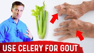 Celery Benefits for Gout – DrBerg [upl. by Orodisi]