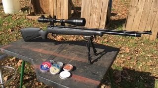 Benjamin Maximus 22 Cal Air Rifle Test Review [upl. by Kcaj]