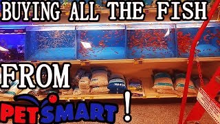 BUYING ALL THE FISH AT PETSMART [upl. by Yacano]