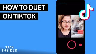 How To Duet On TikTok [upl. by Mic539]