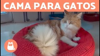 Cama para gatos de ExpertoAnimal  ¡Muy fácil de hacer [upl. by Noral]