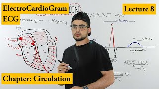 ECG Electrocardiogram fully explained  Chapter circulation  Video 8 [upl. by Stoneman]