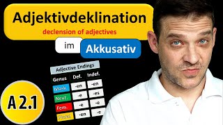 Adjektivdeklination Im Akkusativ  German Adjective Endings in Accusative [upl. by Davena]