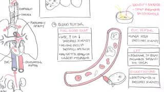 PART II  Pneumonia Transmission Causative Agents Investigations Management [upl. by Tessler]